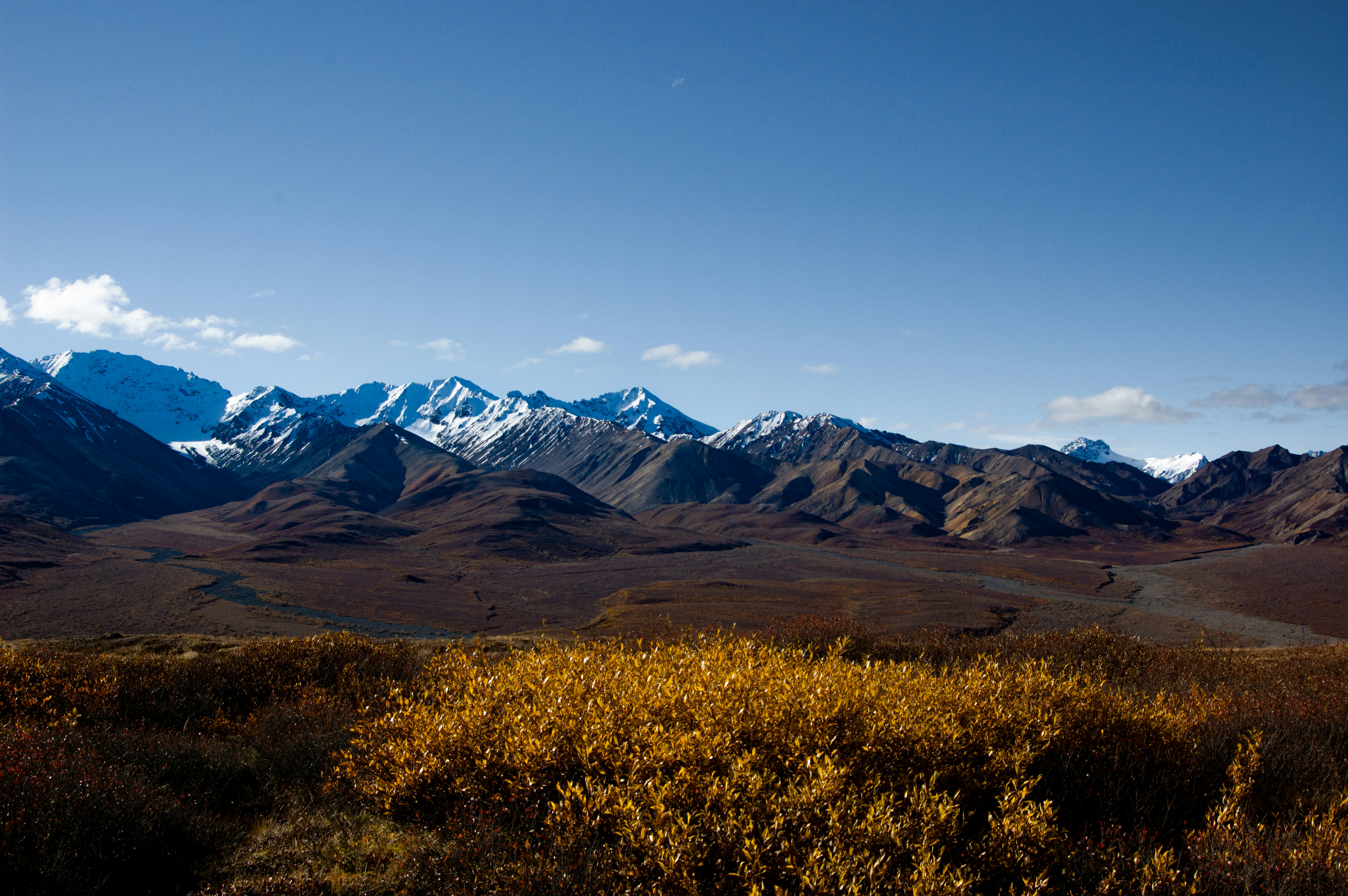 Denali Park, Alaska, USA
