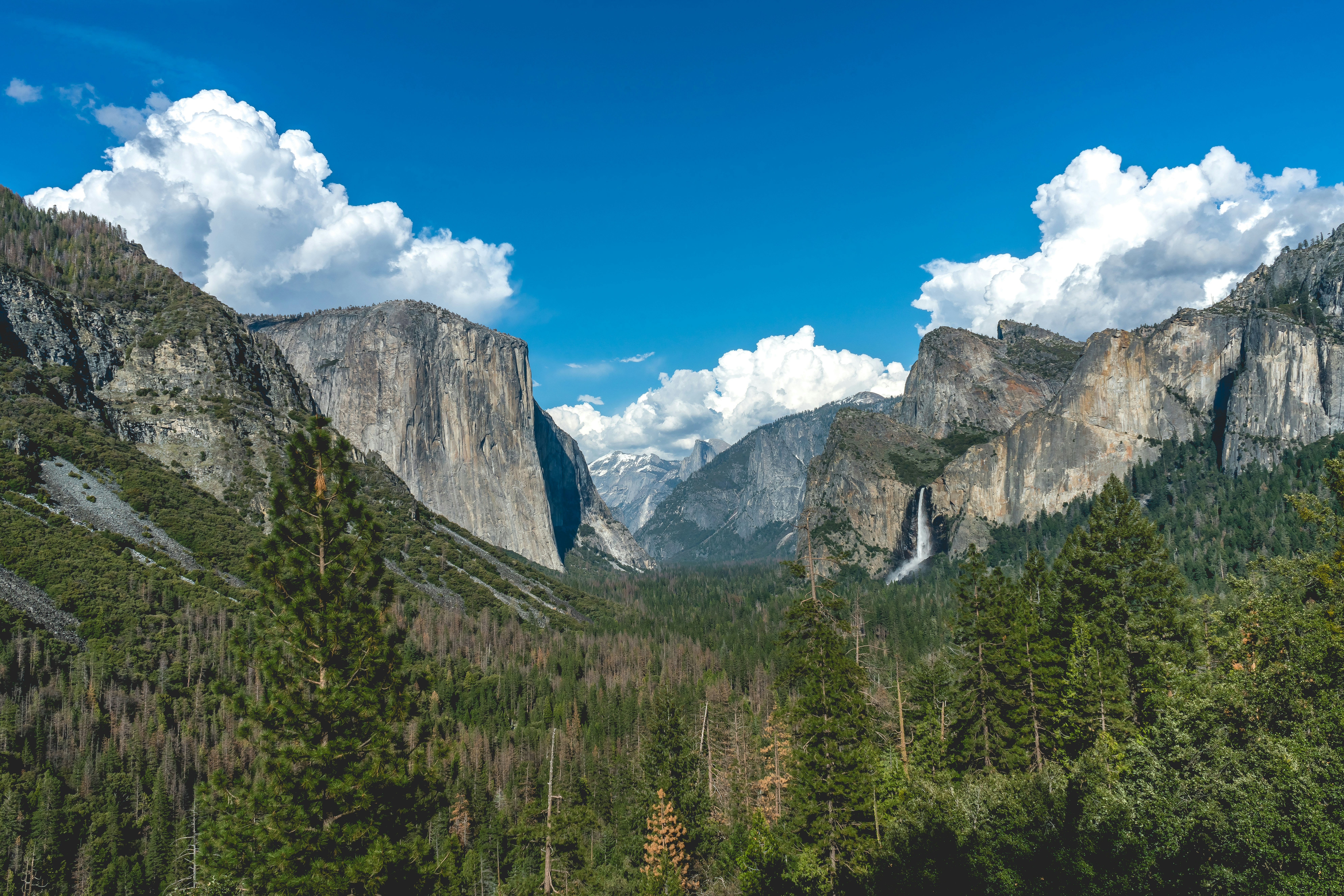 Yosemite National Park